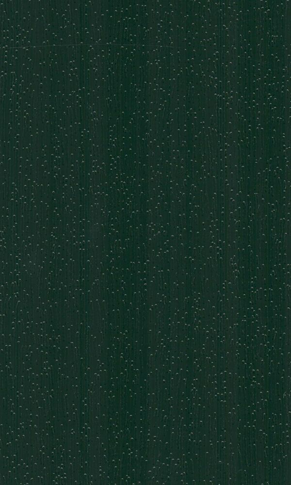 gap45-z8